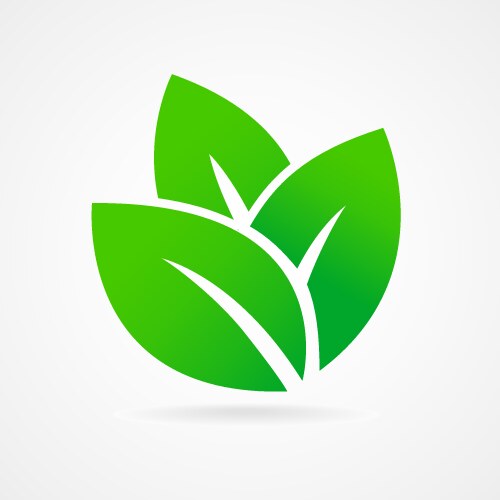 Eco icon green leaf vector image