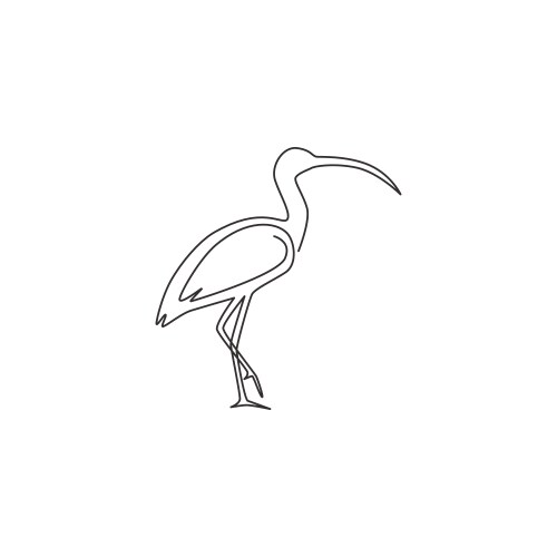 Single continuous line drawing elegant ibis vector image