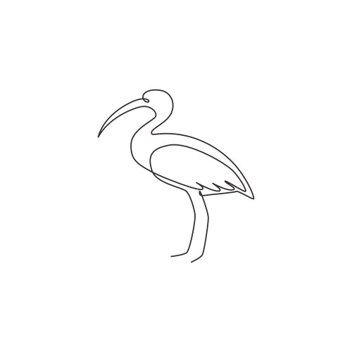 one continuous line drawing cute ibis vector image