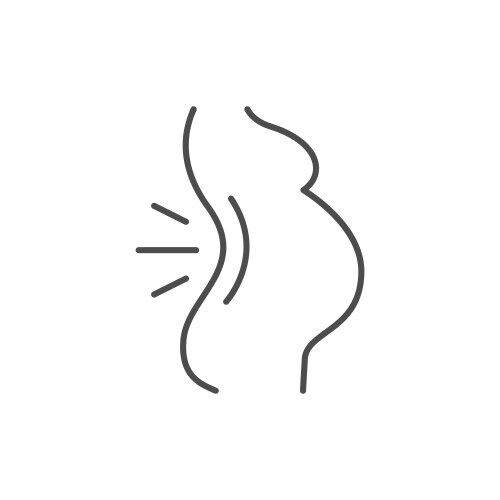 Pregnant woman backache line icon vector image