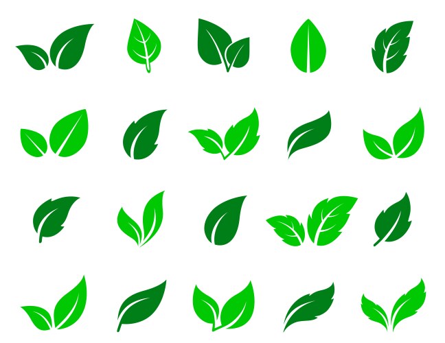 Green leaf icons set vector image