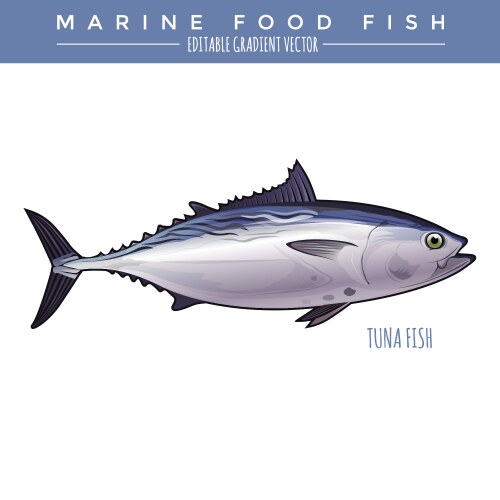 Tuna marine food fish vector image