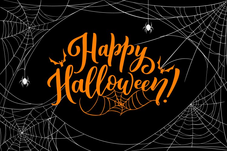 Halloween cobweb with spiders spooky design vector image