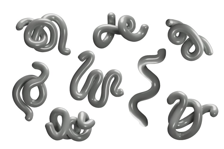 Collection of 3d abstract silver curves vector image