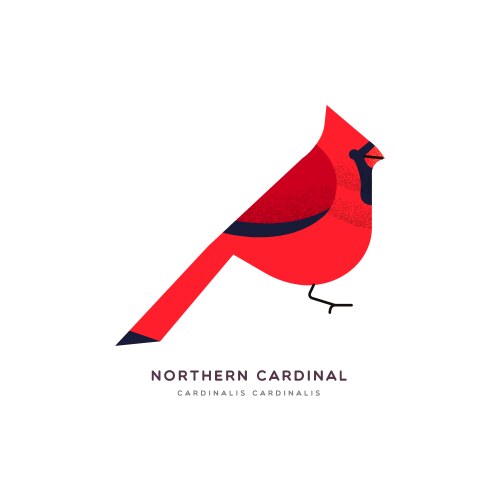 Red northern cardinal bird isolated animal cartoon vector image