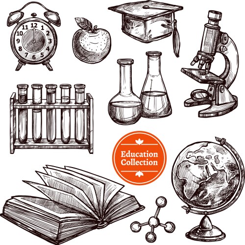 education hand drawn sketch set vector image