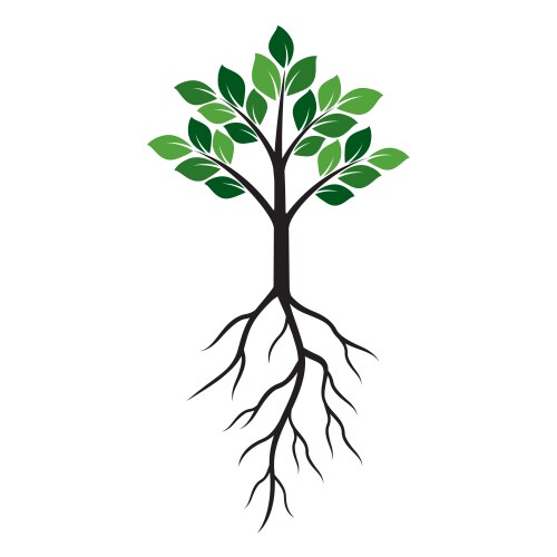 Shape of green tree and roots vector image