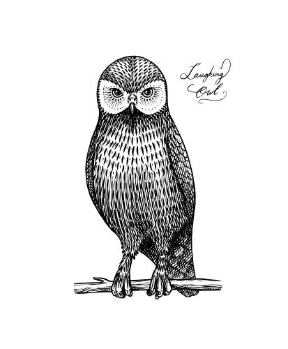 Laughing owl extinct predatory bird engraved vector image