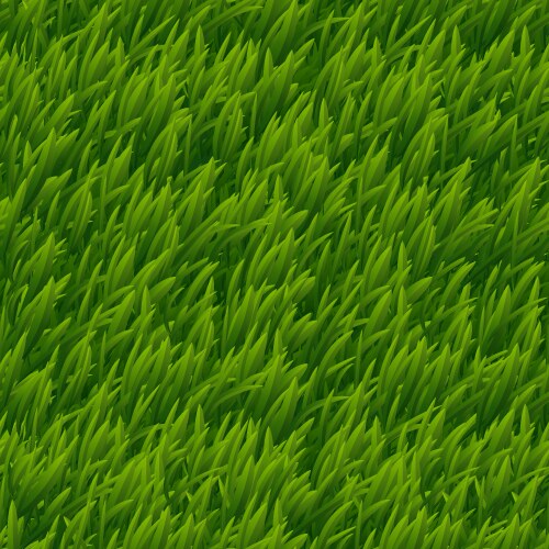 green grass seamless texture vector image