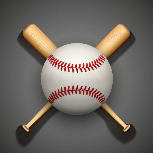 dark background of baseball leather ball vector image