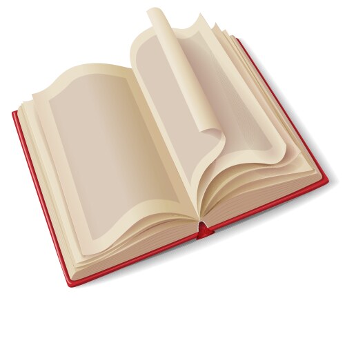 Open book vector image