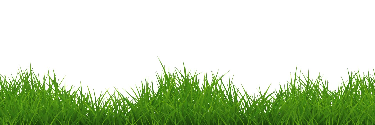 green uneven grass wide repeat border isolated vector image