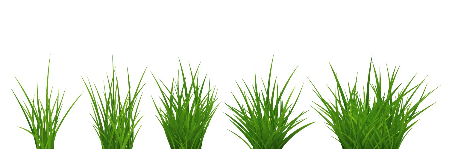 green grass bunch set isolated on white background vector image