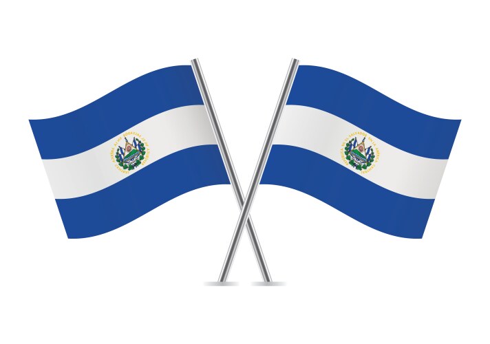 El salvador crossed flags vector image