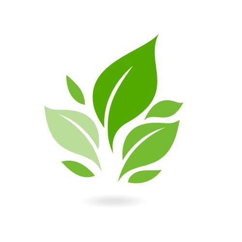 Green leaf ecology nature icon plants vector image