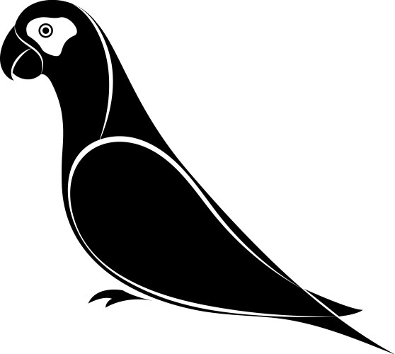 parrot silhouette vector image