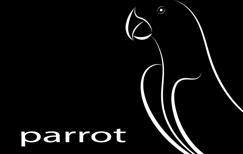 parrot line drawing vector image