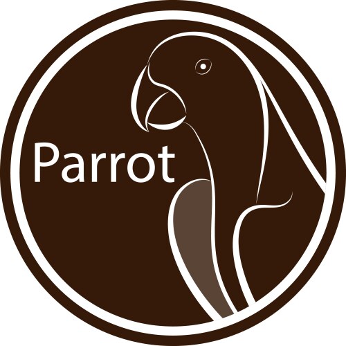 parrot line drawing vector image