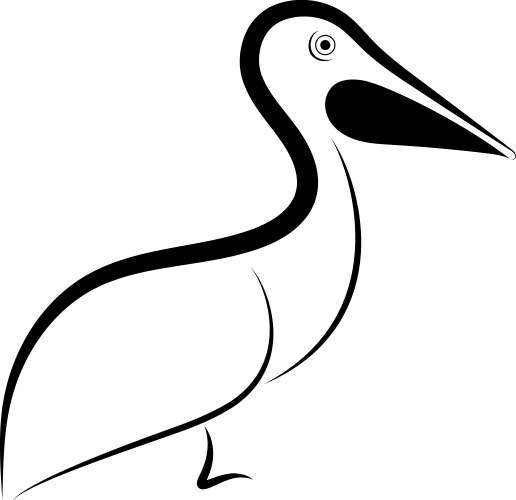 pelican line drawing vector image