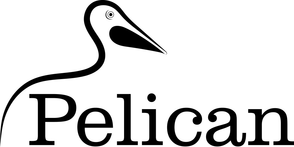 pelican line drawing vector image