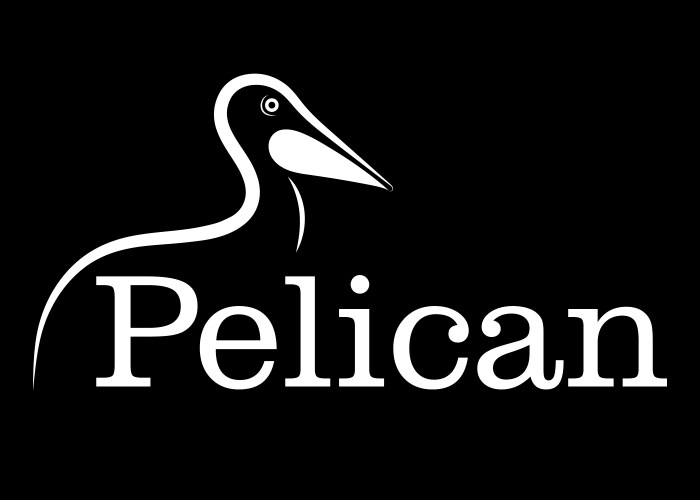 pelican line drawing vector image