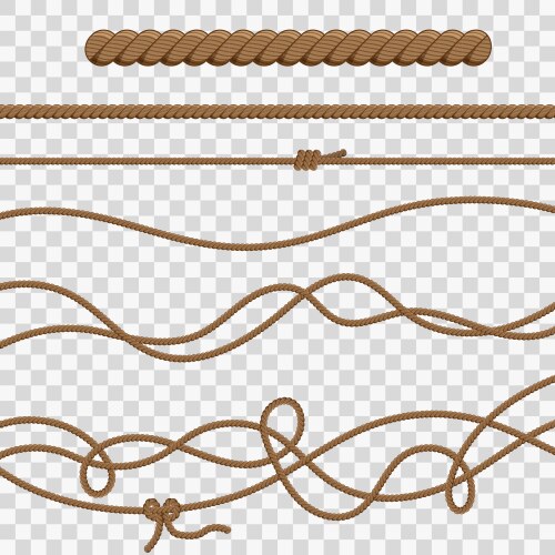 Ropes and knots vector image