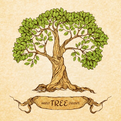 Green tree with place for text vector image