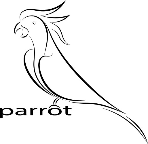 Parrot line drawing vector image