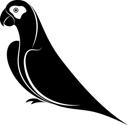 Parrot silhouette vector image