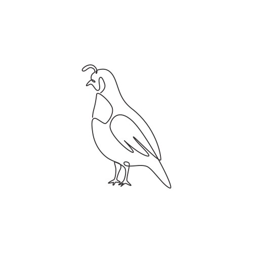 One single line drawing adorable california vector image