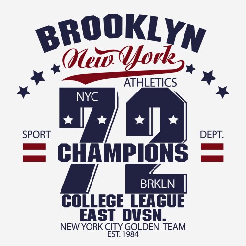 Brooklyn t-shirt graphics vector image