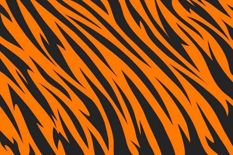 Pattern tiger stripes abstract background vector image