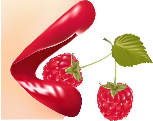 red gloss lips with raspberry vector image