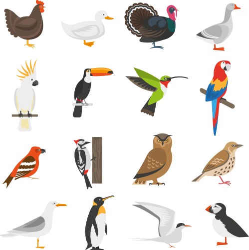 bird flat color icons set vector image