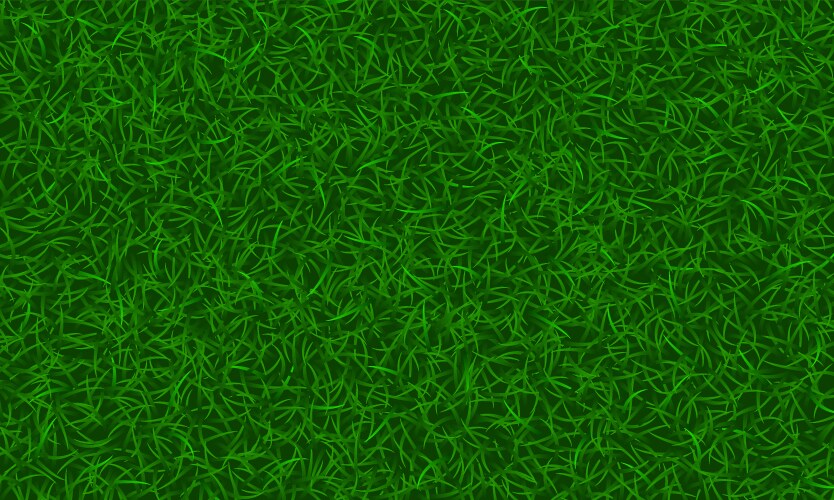 texture of green grass summer background vector image