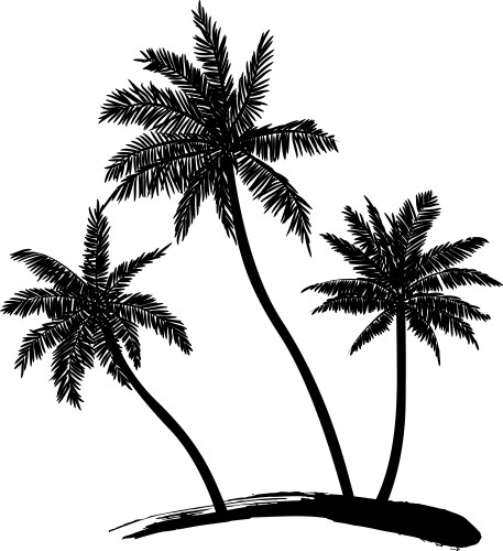 Coconut tree vector image