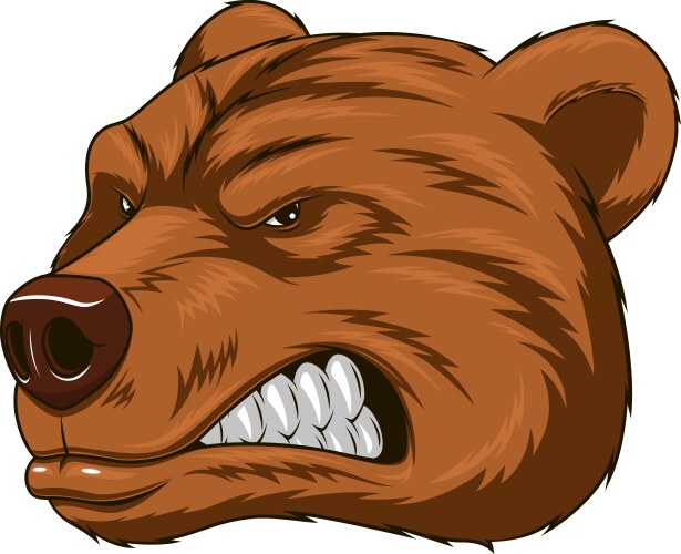 Angry bear head mascot vector image