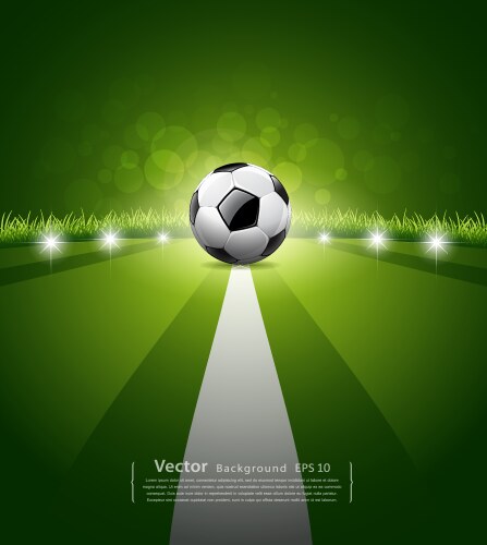 Soccer ball on green grass background vector image