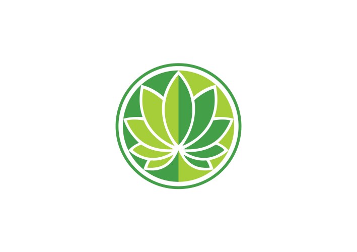 Leaf round lotus spa logo vector image