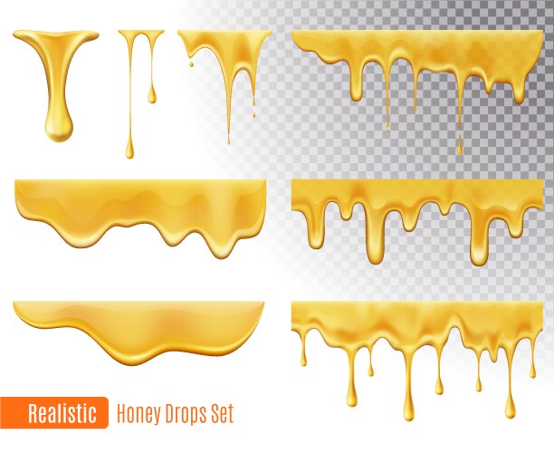 Honey drops set vector image