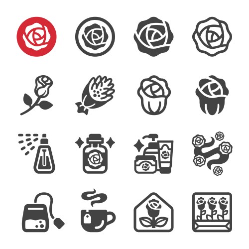 Rose icon set vector image