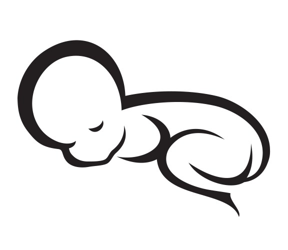 Silhouette of sleeping newborn baby vector image