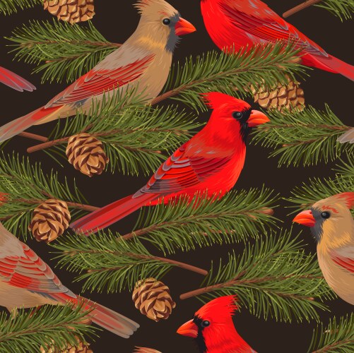 Seamless cardinal and spruce vector image