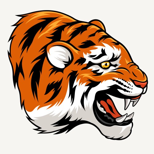 Tiger head vector image