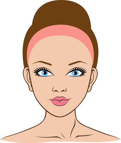 Woman face closeup vector image