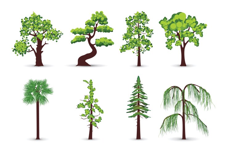 Tree icons vector image