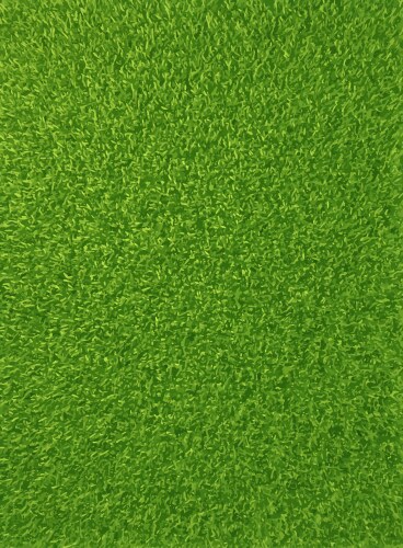 Background texture of fresh green grass vector image