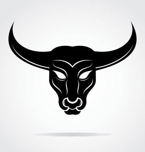 Bulls head mascot vector image