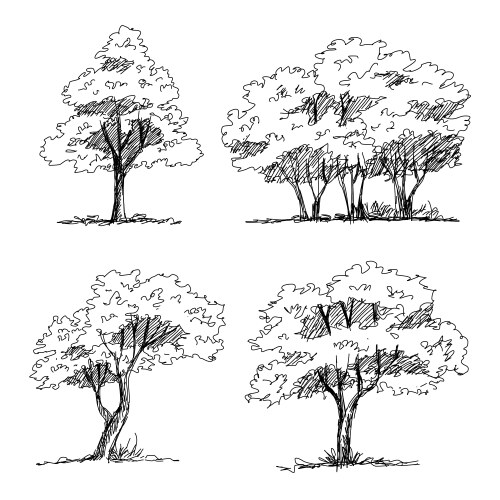 Trees sketch architectural hand drawn vector image