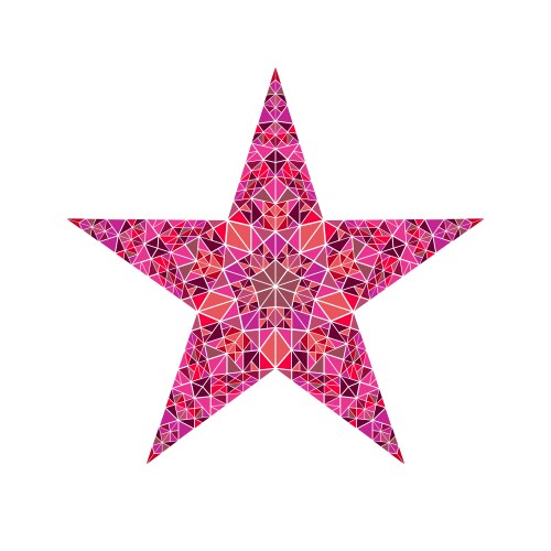 Polygonal abstract colorful tiled mosaic star vector image